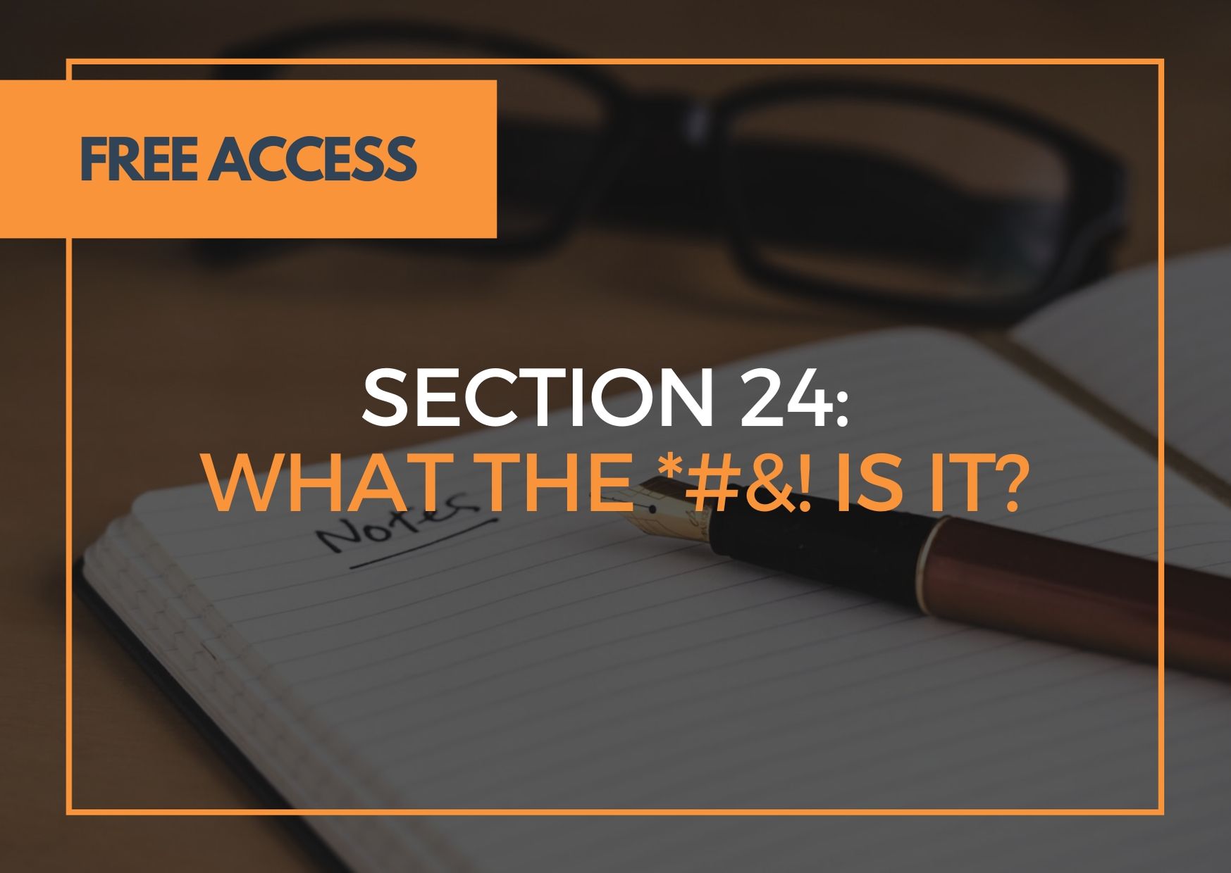 Section 24: What the *#&! is it?